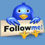 follow us